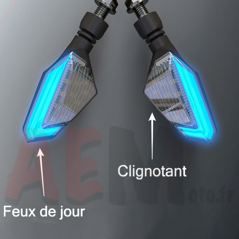 Clignotant LED Avec Feux De Jours X2 Universel 12v