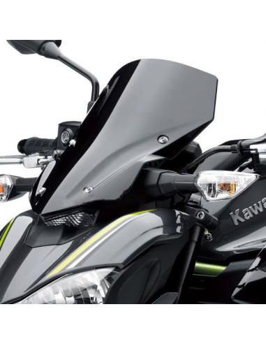 Saute vent en ABS noir Kawasaki Z900 2017-2019