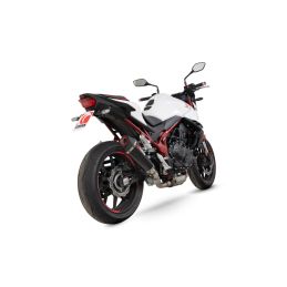 Silencieux Sport Carbone...