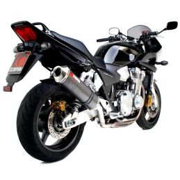 Silencieux Sport Carbone...