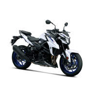 SUZUKI GSX-S