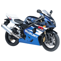 SUZUKI GSX-R 1000